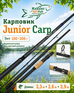Спиннинг карповый JUNIOR CARP (Roder), 3х частн., 100-300гр, 3,9м (1025)