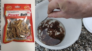 Червь морской, нереис, сушенный 50шт (10)