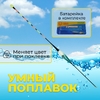 Умный поплавок с датчиком поклевки (с батарейкой) 5гр